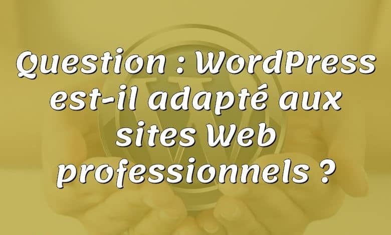 Question : WordPress est-il adapté aux sites Web professionnels ?